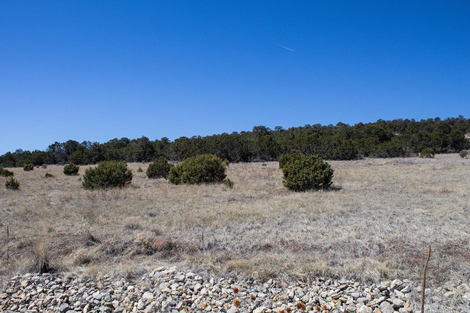 91 Bolivar, Tijeras, New Mexico image 7