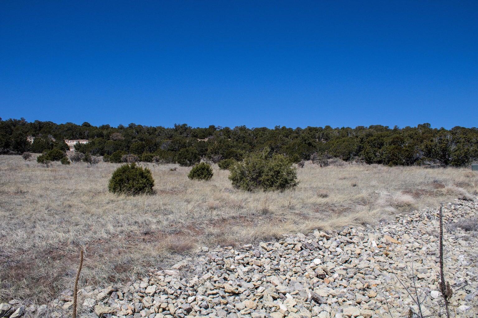 91 Bolivar, Tijeras, New Mexico image 8