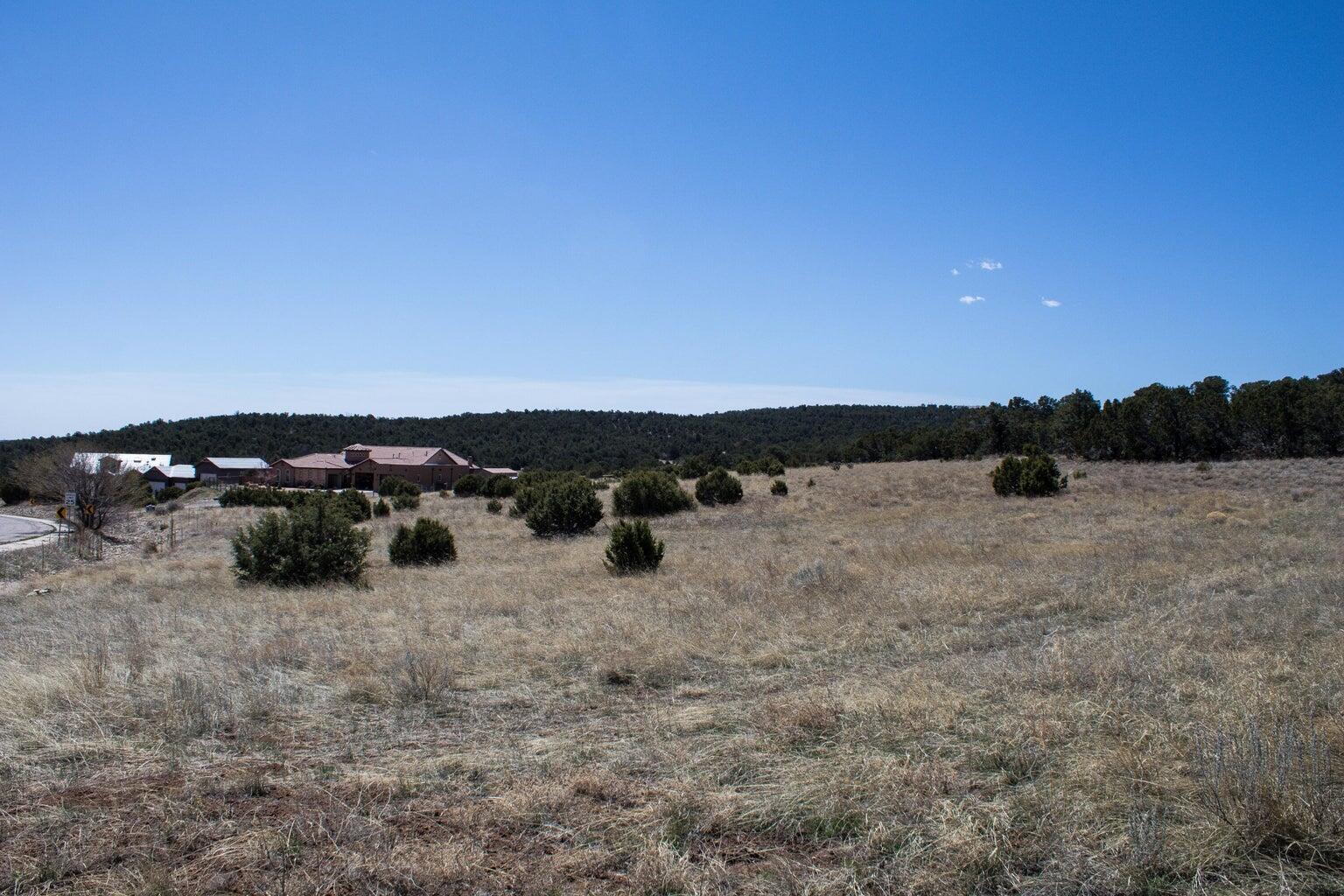 91 Bolivar, Tijeras, New Mexico image 14