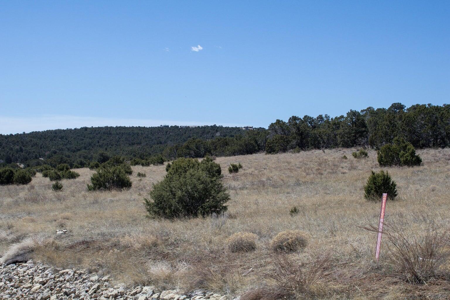 91 Bolivar, Tijeras, New Mexico image 6