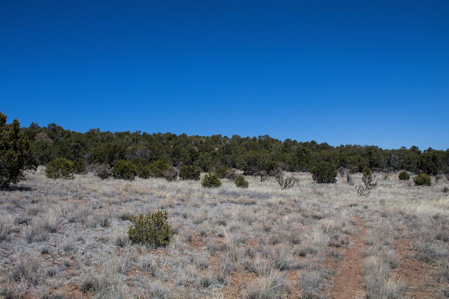 91 Bolivar, Tijeras, New Mexico image 10