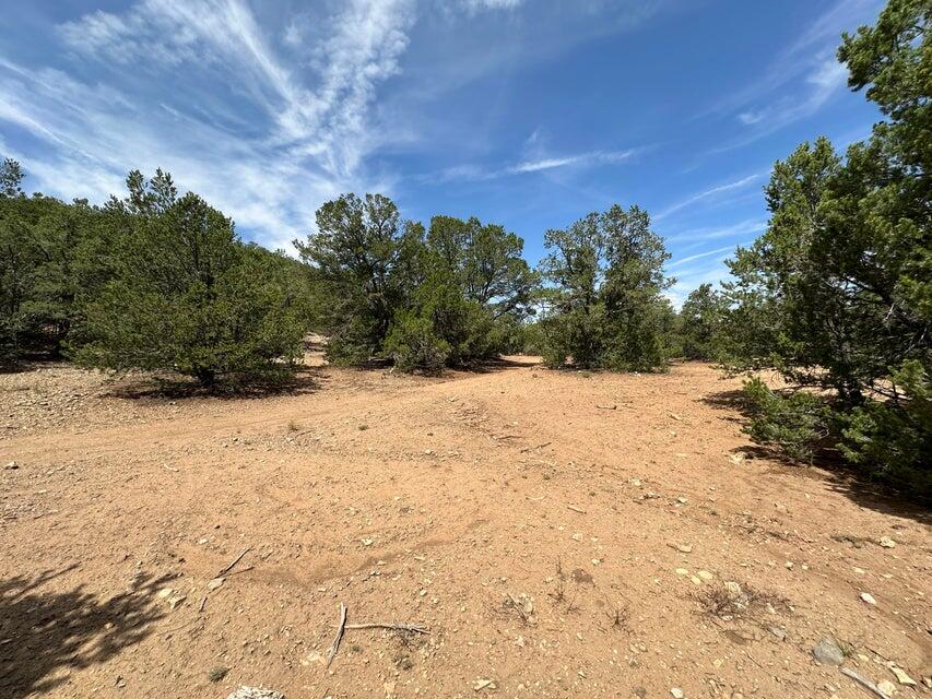 52 Sandia Mountain Ranch Drive, Tijeras, New Mexico image 4