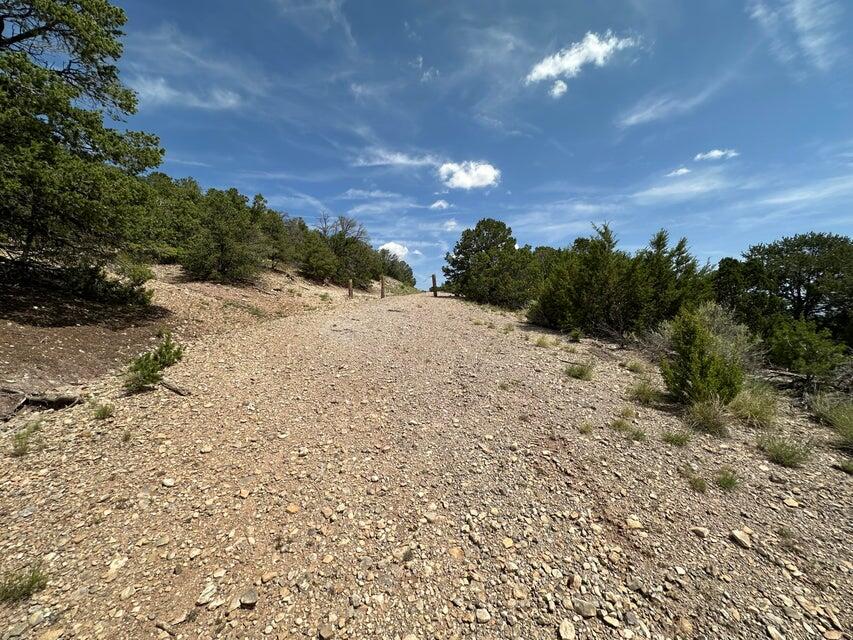 52 Sandia Mountain Ranch Drive, Tijeras, New Mexico image 8