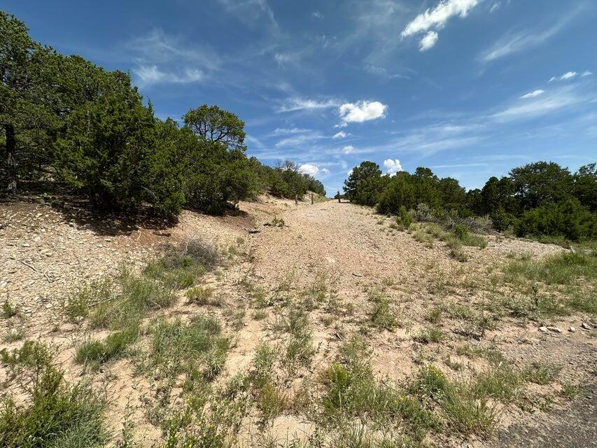 52 Sandia Mountain Ranch Drive, Tijeras, New Mexico image 3