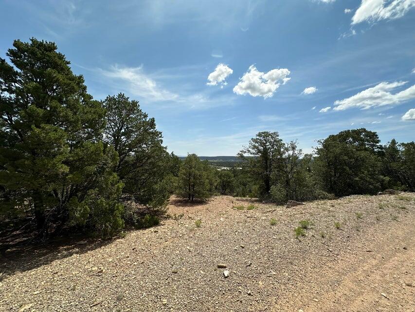 52 Sandia Mountain Ranch Drive, Tijeras, New Mexico image 12