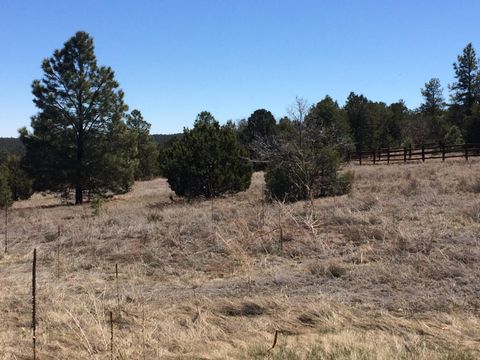 Photo of 10 WOODLAND Court, Tijeras, NM 87059 (MLS # 1105408)