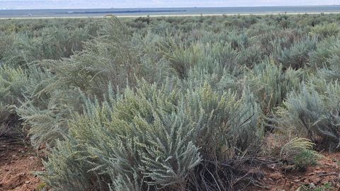 Vacant Land For Sale - VL Rge Lot 17 Block 377 #17<br/> Belen, NM 87002