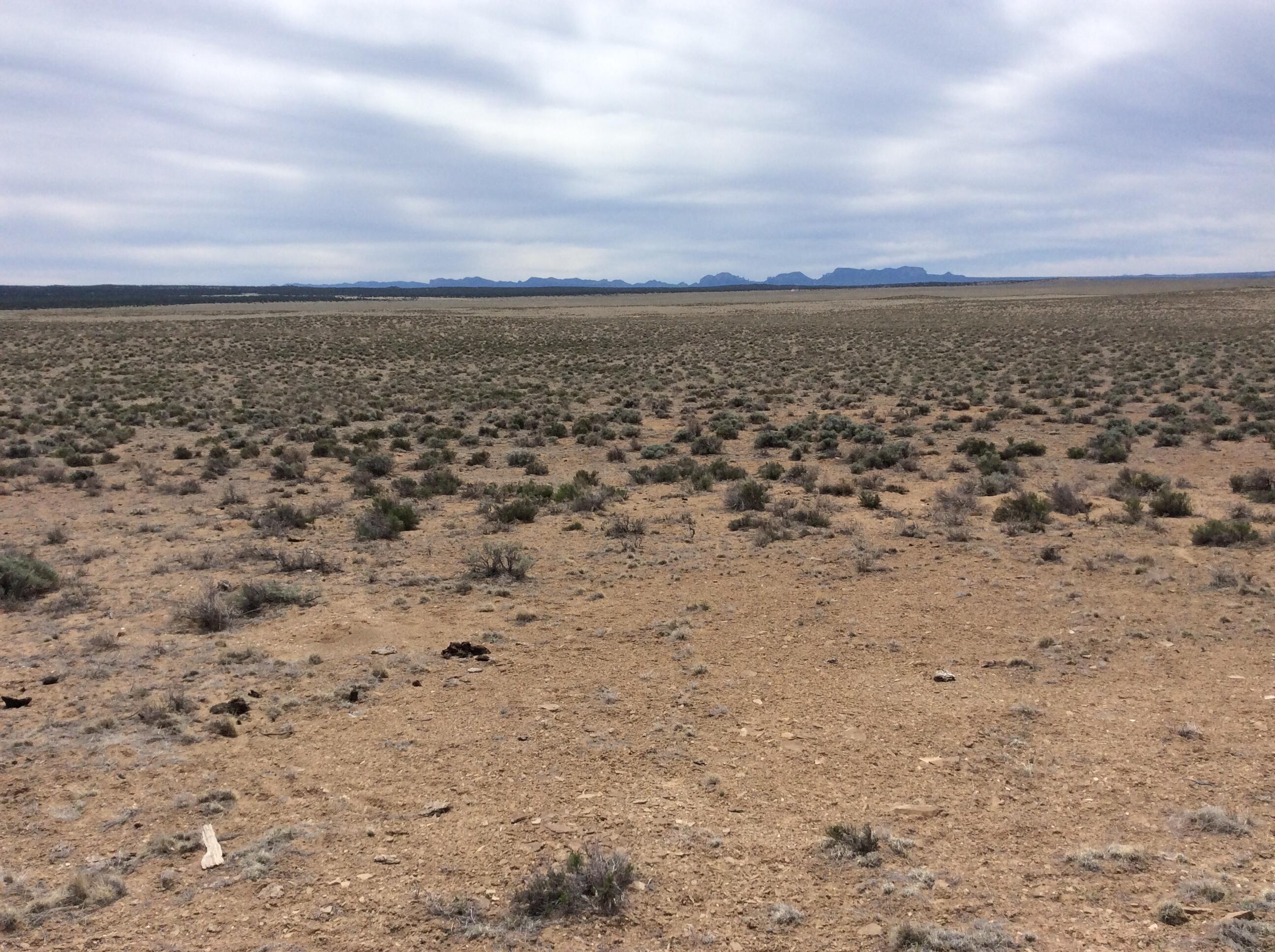 County Rd 19 Rd, Pie Town, New Mexico image 5