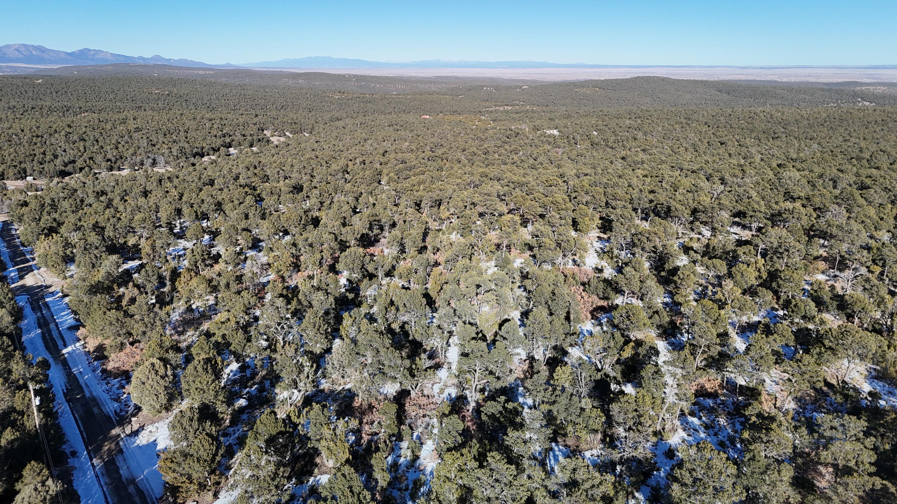 Camino de los Pinones