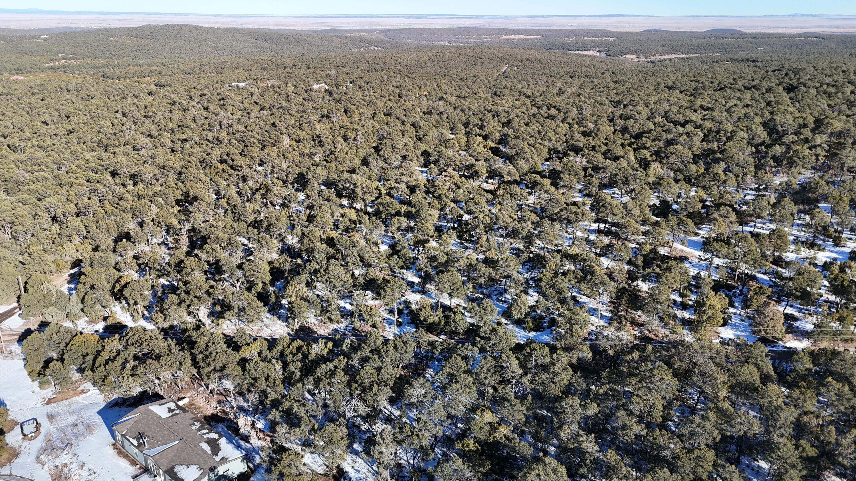 Camino de los Pinones