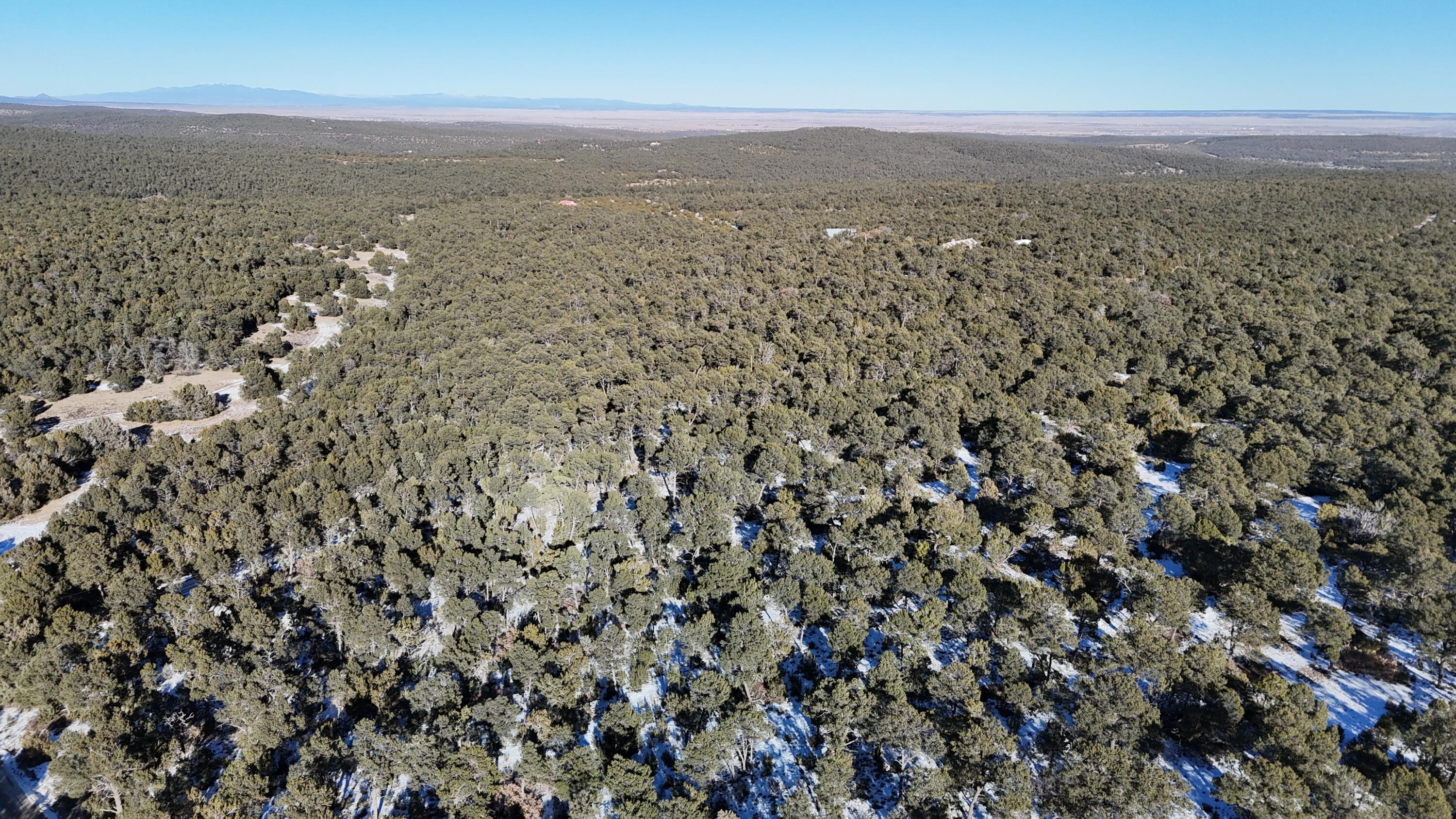 Camino de los Pinones