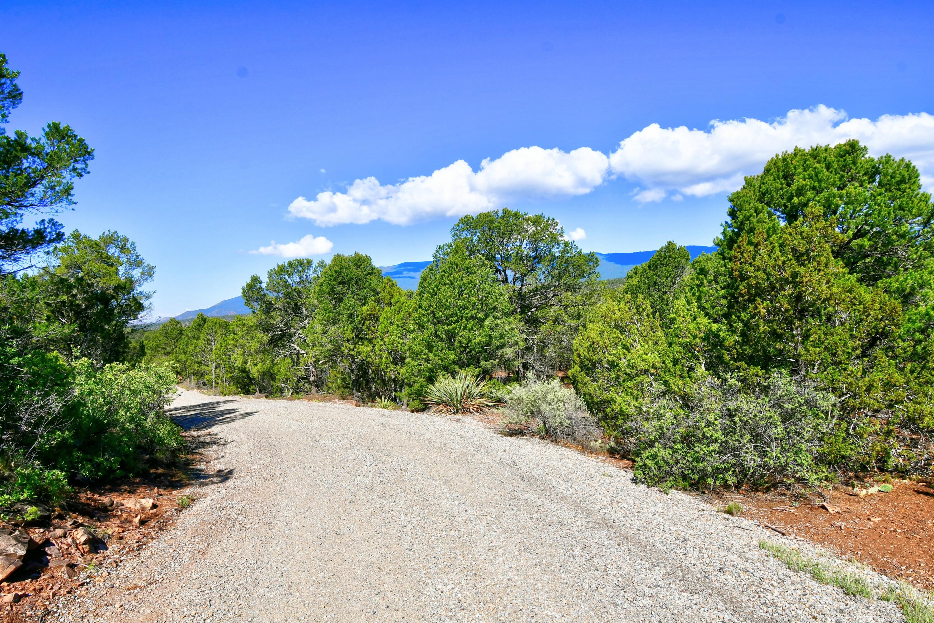 39 Camino De Avila, Tijeras, New Mexico image 3