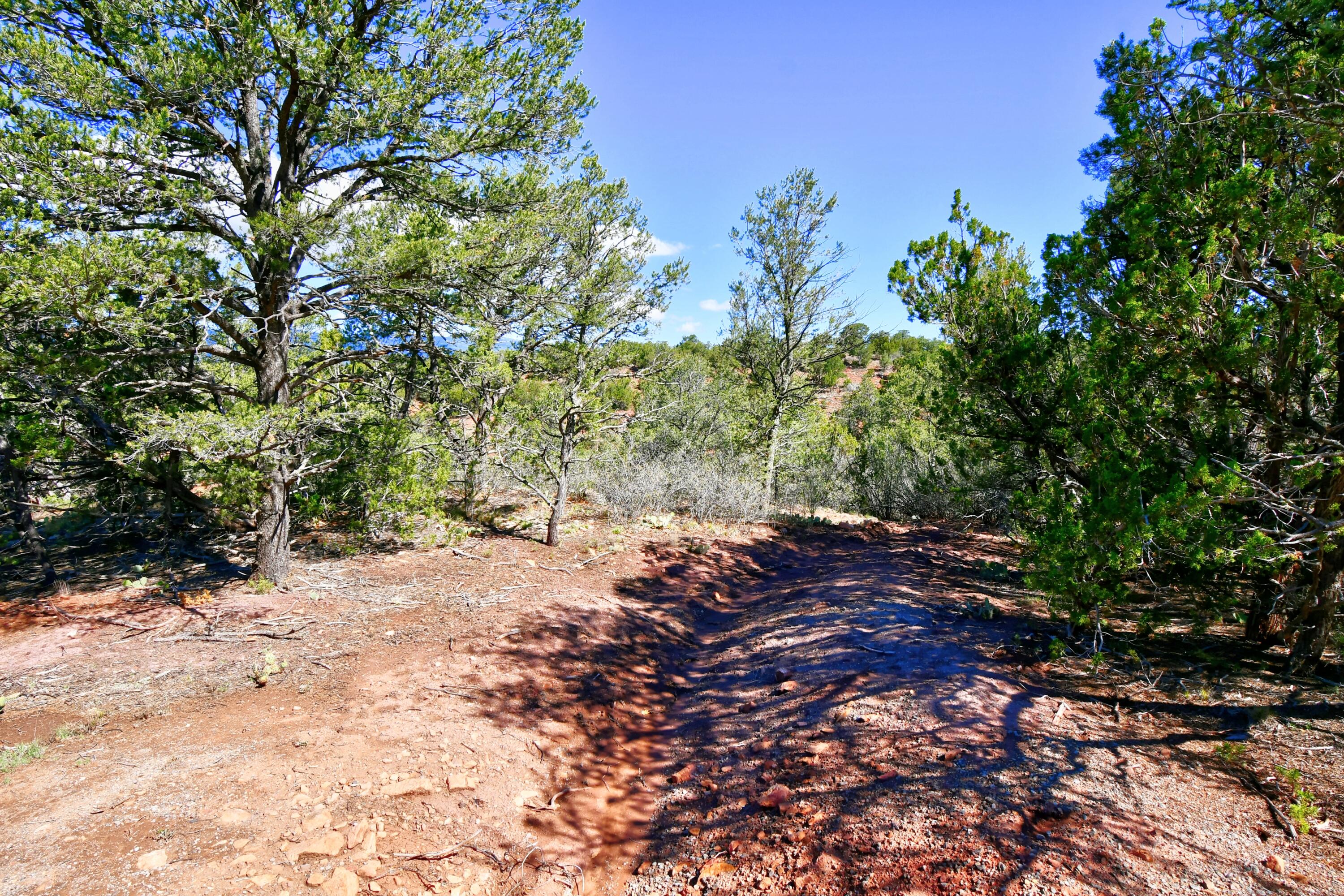 39 Camino De Avila, Tijeras, New Mexico image 9