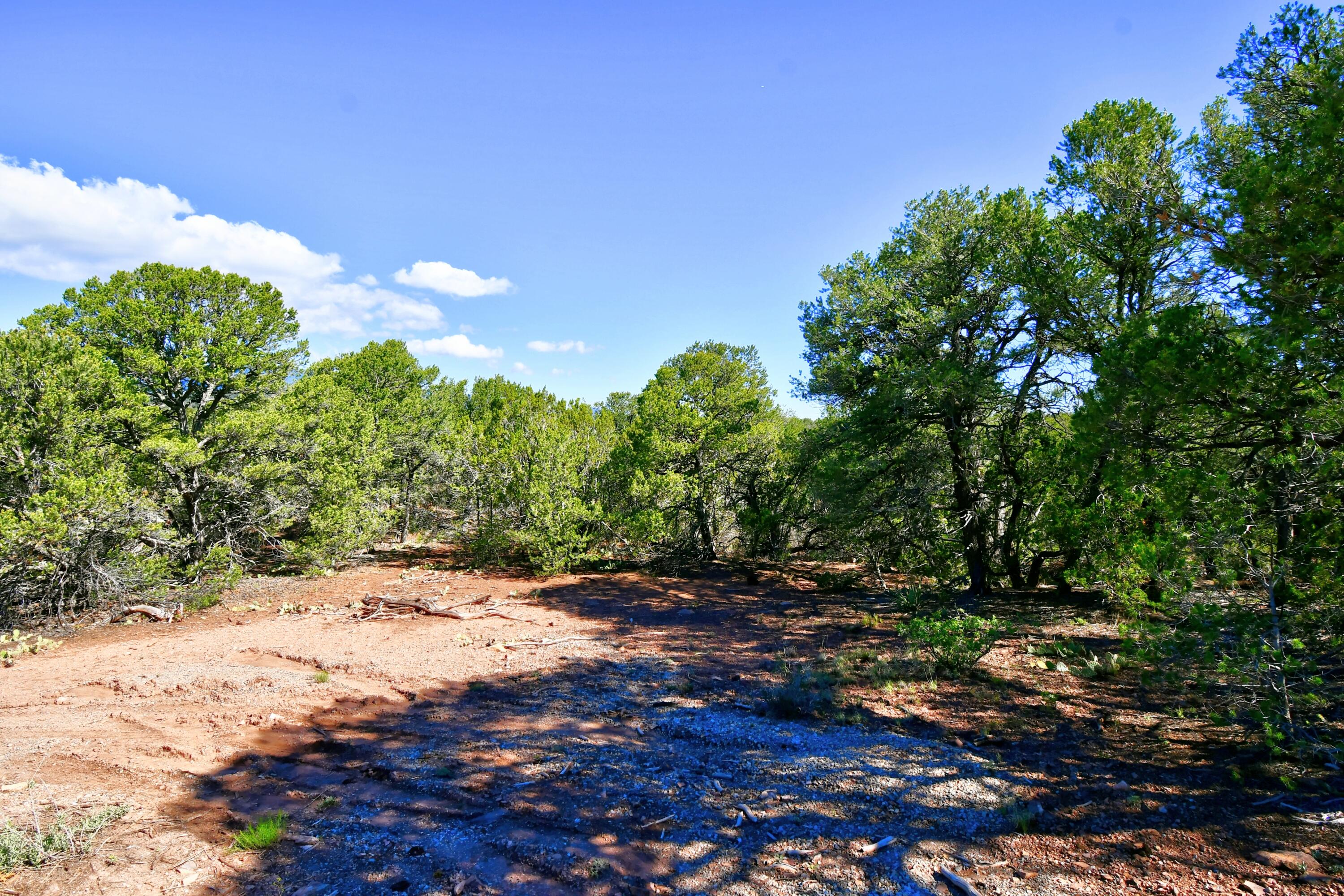 39 Camino De Avila, Tijeras, New Mexico image 2