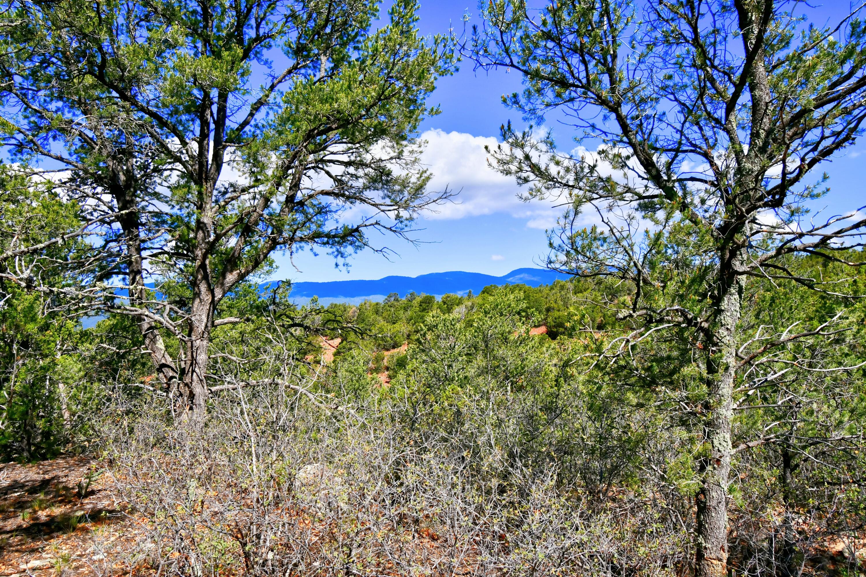 39 Camino De Avila, Tijeras, New Mexico image 10