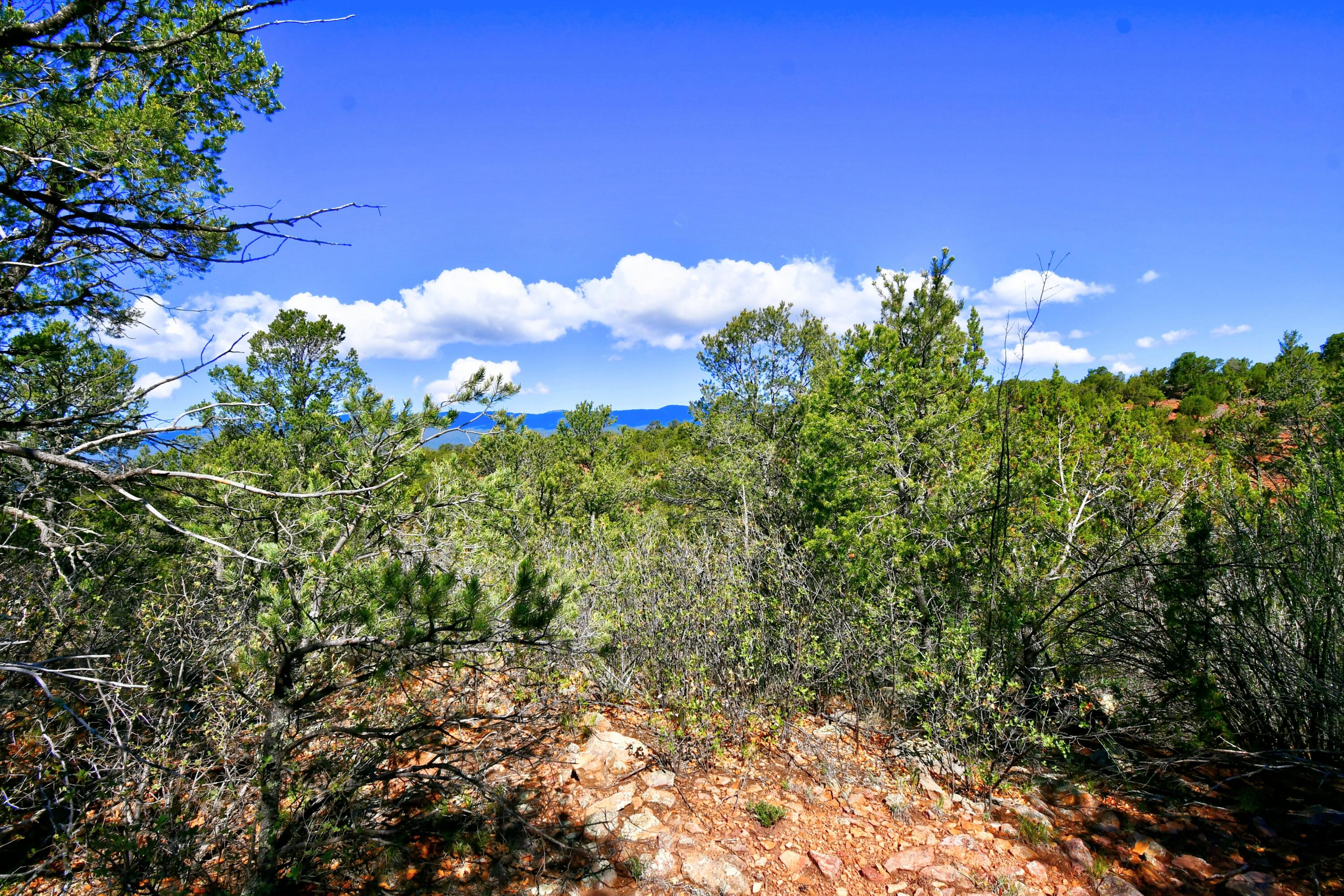 39 Camino De Avila, Tijeras, New Mexico image 11