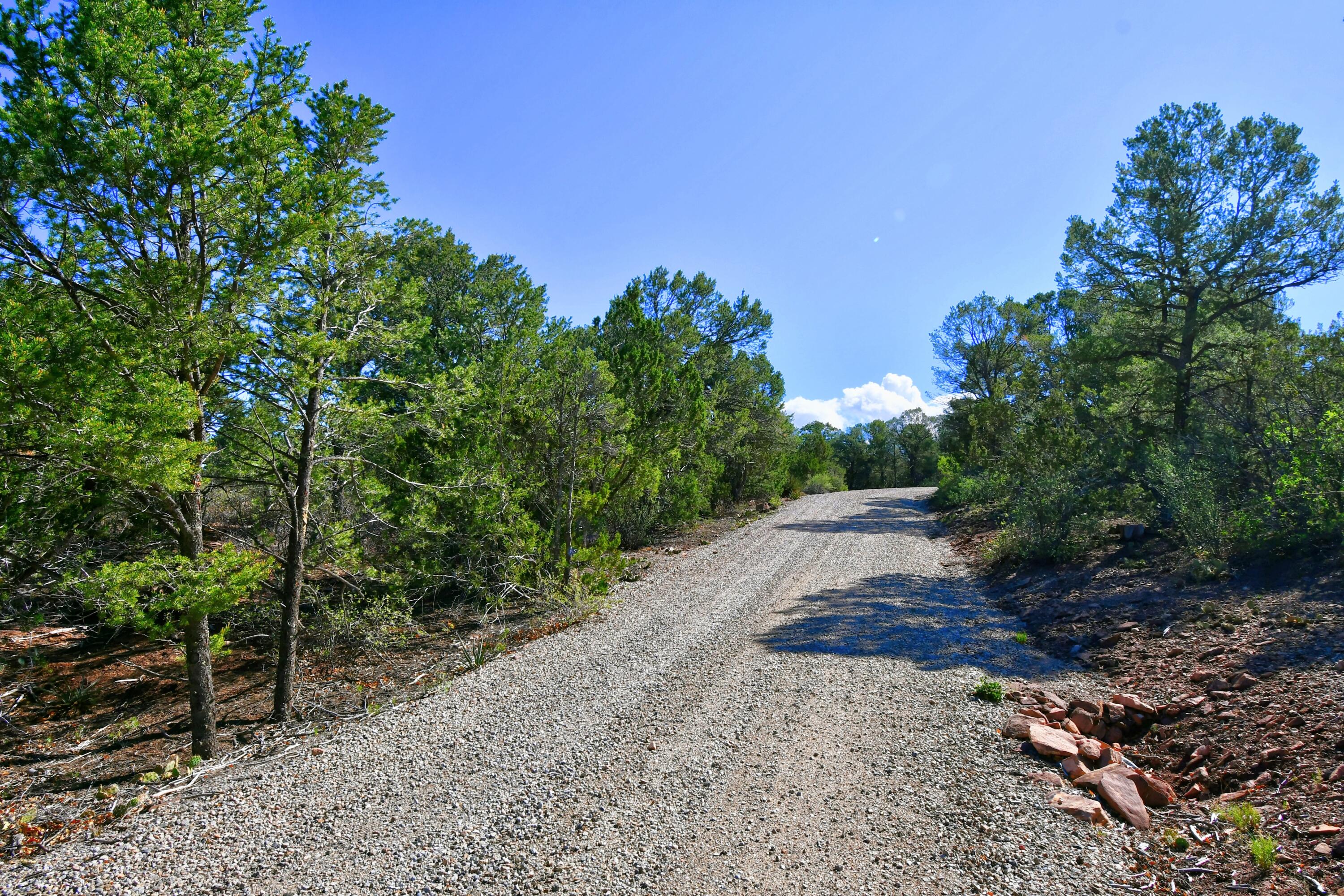 39 Camino De Avila, Tijeras, New Mexico image 7