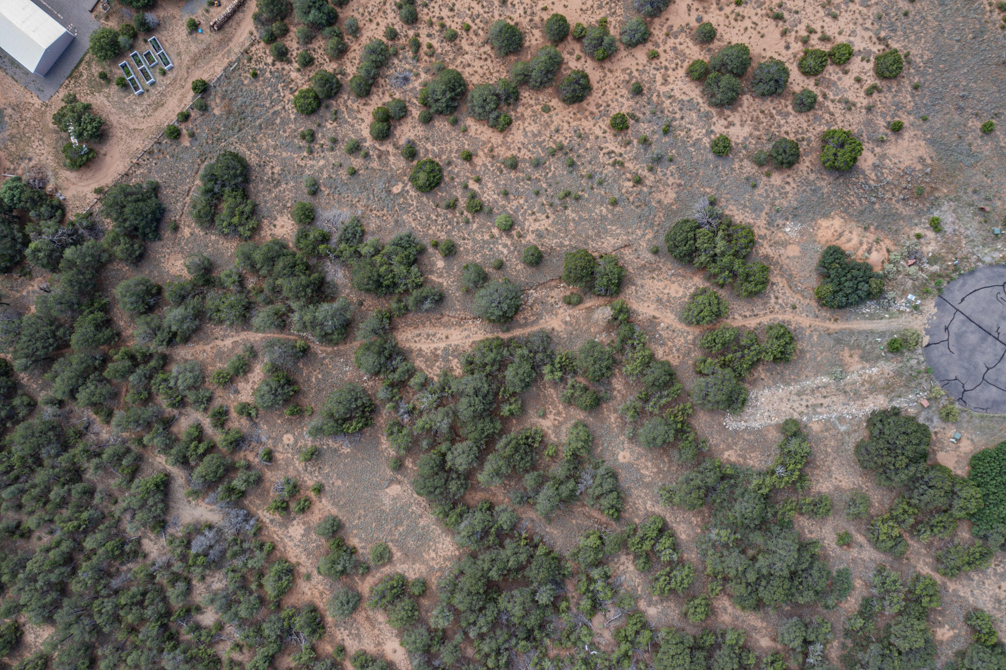 15 Soaring Hawk Court, Tijeras, New Mexico image 3