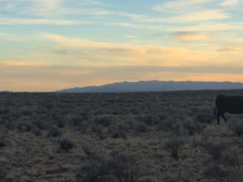 Vacant Land For Sale - VL Rge Lot: 25 Block: 720 #B<br/> Belen, NM 87002