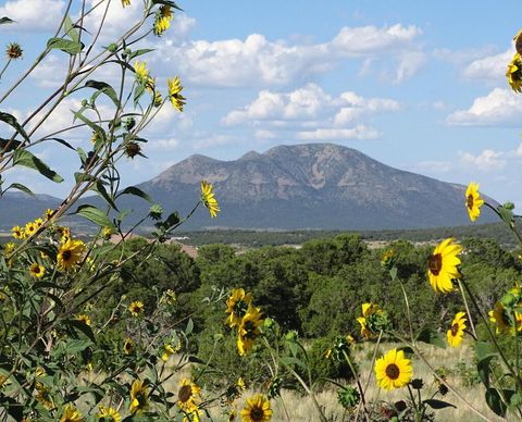 Vacant Land For Sale - 18 Thunder Hawk Rdg<br/> Tijeras, NM 87059