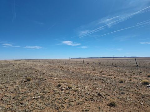 Vacant Land For Sale - TRACTS 3&4 Medicine Run Road<br/> Mountainair, NM 87036