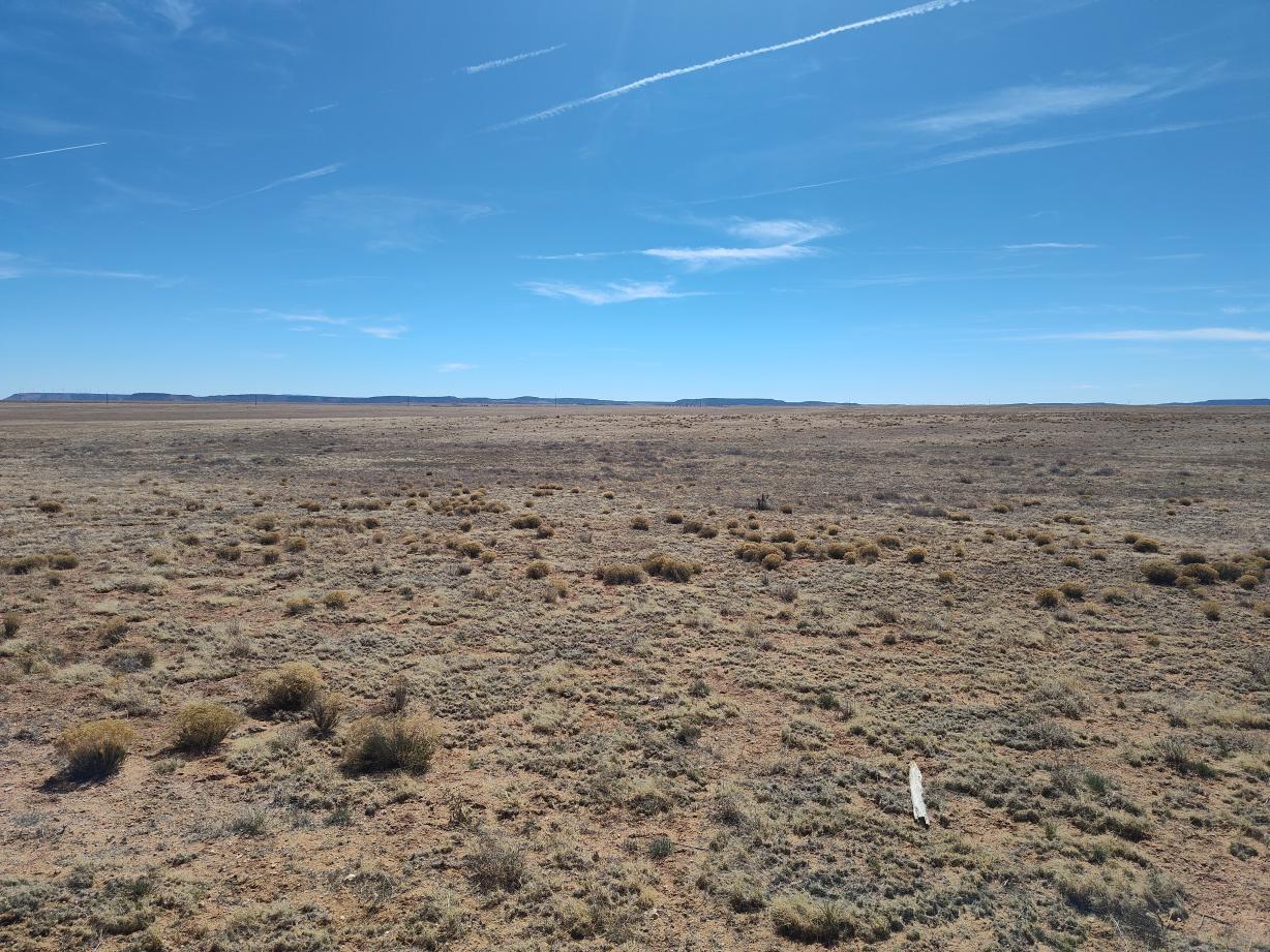 Tracts 3&4 Medicine Run Road