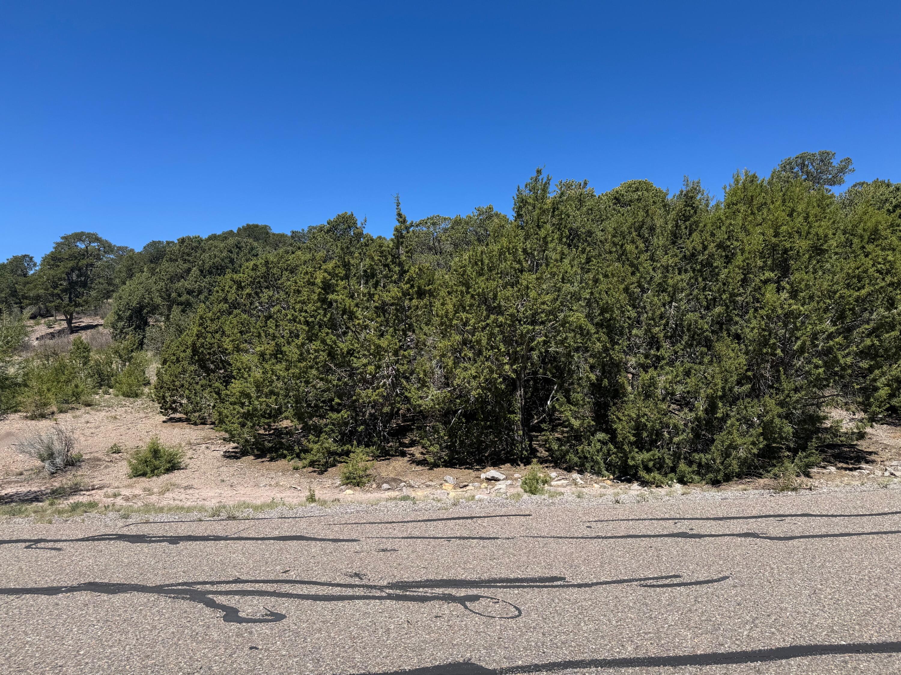 26 Rancho Verde Road, Tijeras, New Mexico image 8