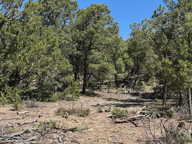 26 Rancho Verde Road, Tijeras, New Mexico image 14