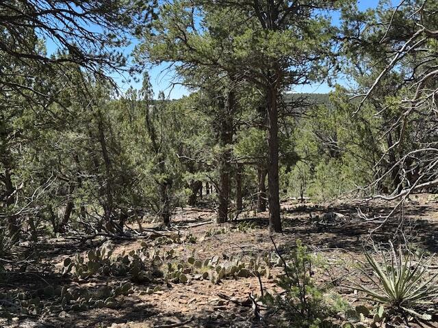 26 Rancho Verde Road, Tijeras, New Mexico image 19
