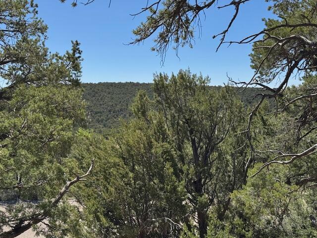 26 Rancho Verde Road, Tijeras, New Mexico image 13