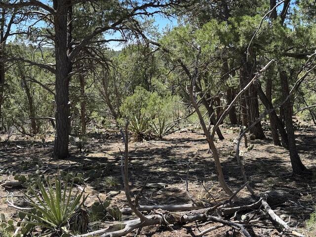 26 Rancho Verde Road, Tijeras, New Mexico image 20