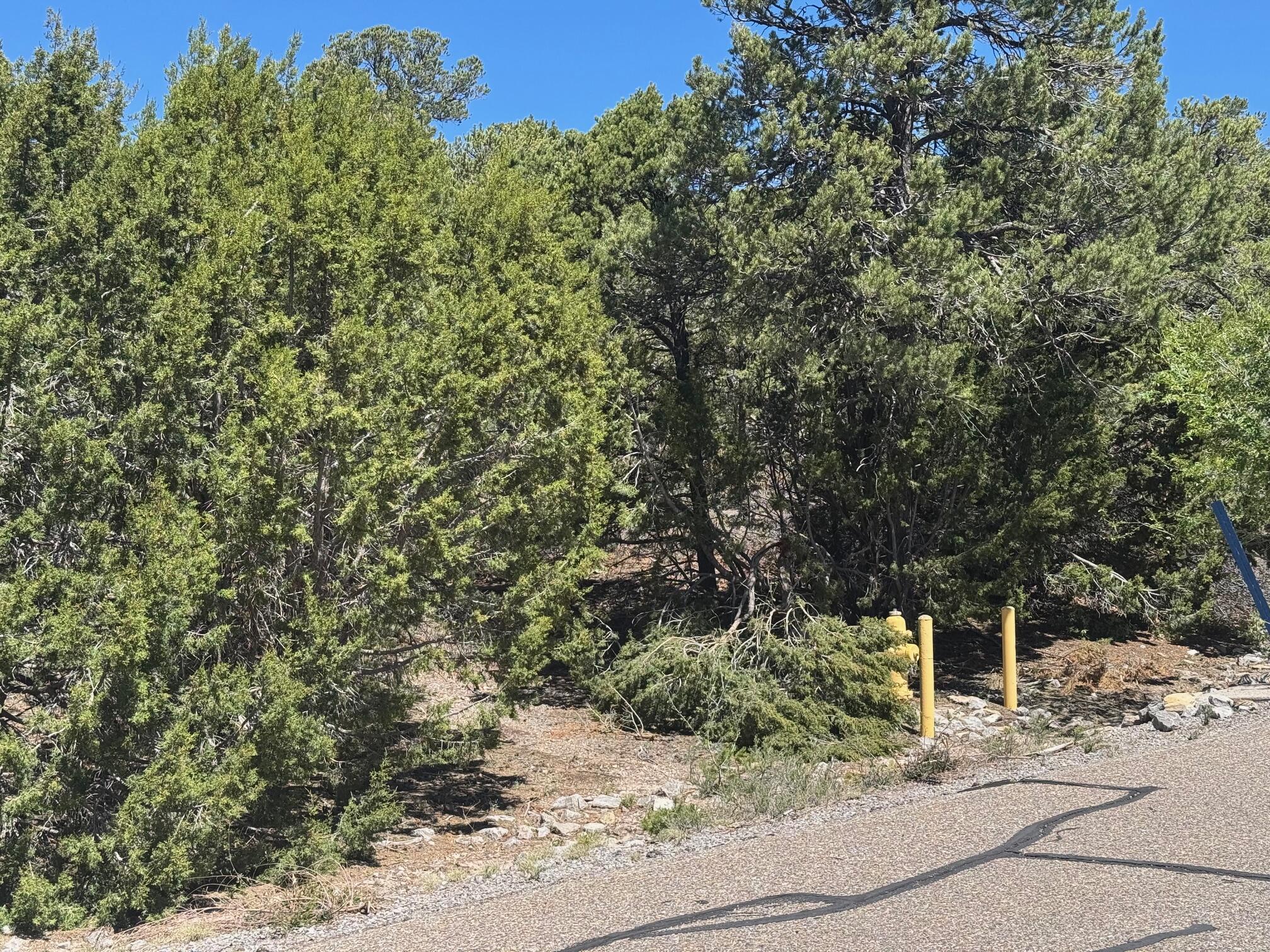26 Rancho Verde Road, Tijeras, New Mexico image 7