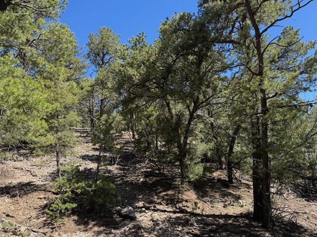 26 Rancho Verde Road, Tijeras, New Mexico image 11