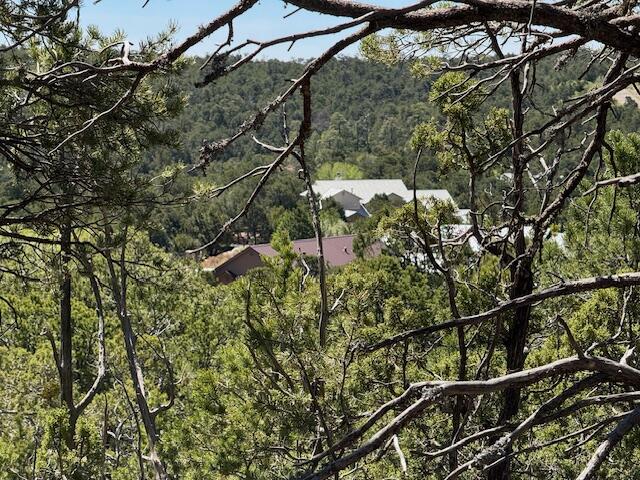 26 Rancho Verde Road, Tijeras, New Mexico image 23