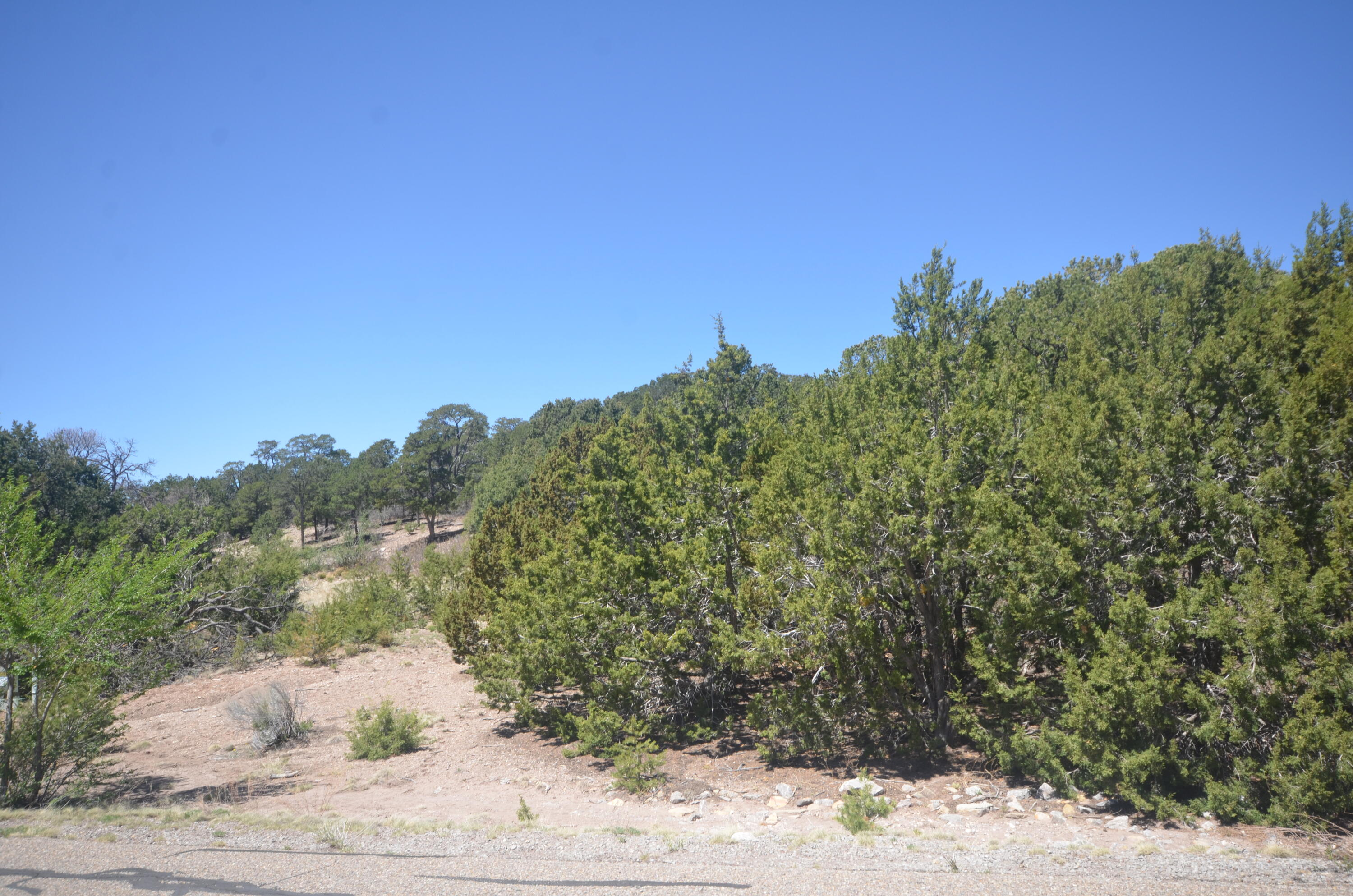 26 Rancho Verde Road, Tijeras, New Mexico image 5