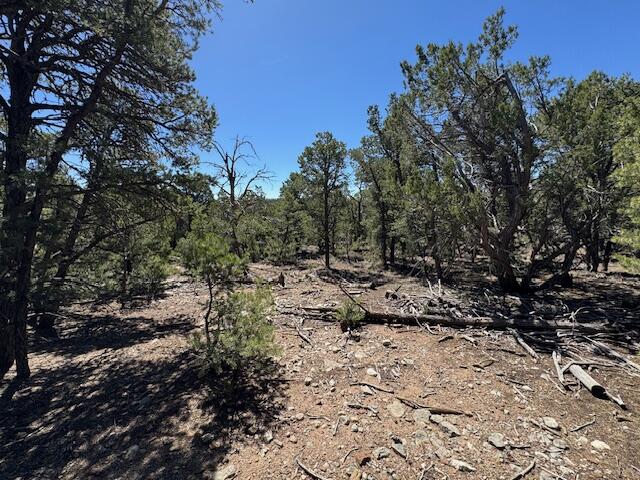 26 Rancho Verde Road, Tijeras, New Mexico image 21