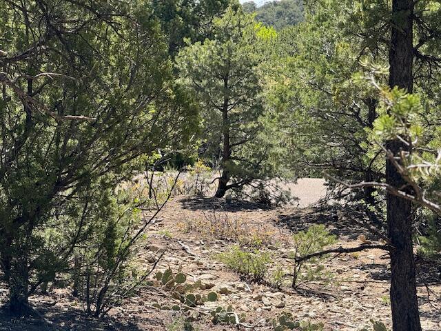 26 Rancho Verde Road, Tijeras, New Mexico image 17