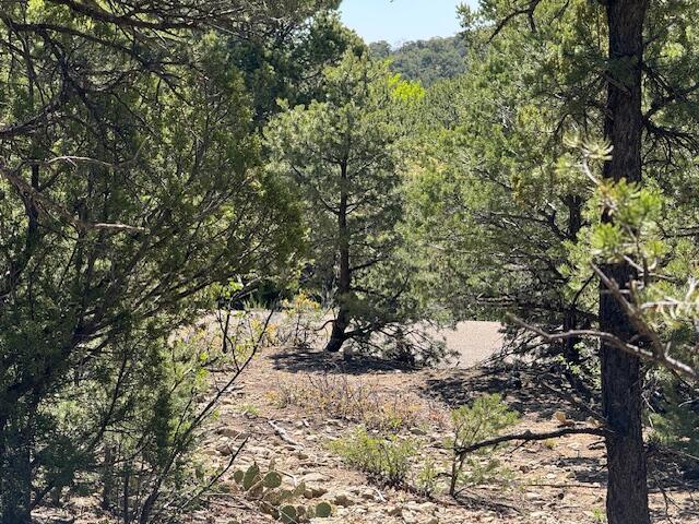26 Rancho Verde Road, Tijeras, New Mexico image 16