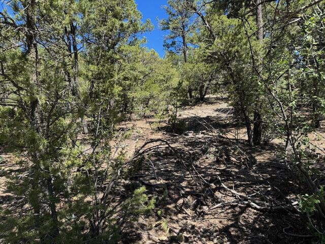 26 Rancho Verde Road, Tijeras, New Mexico image 10