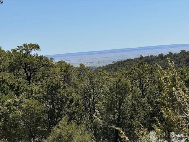 26 Rancho Verde Road, Tijeras, New Mexico image 12