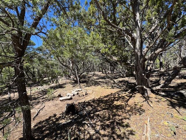 26 Rancho Verde Road, Tijeras, New Mexico image 22