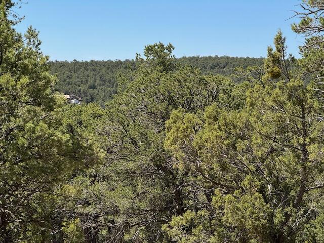 26 Rancho Verde Road, Tijeras, New Mexico image 15