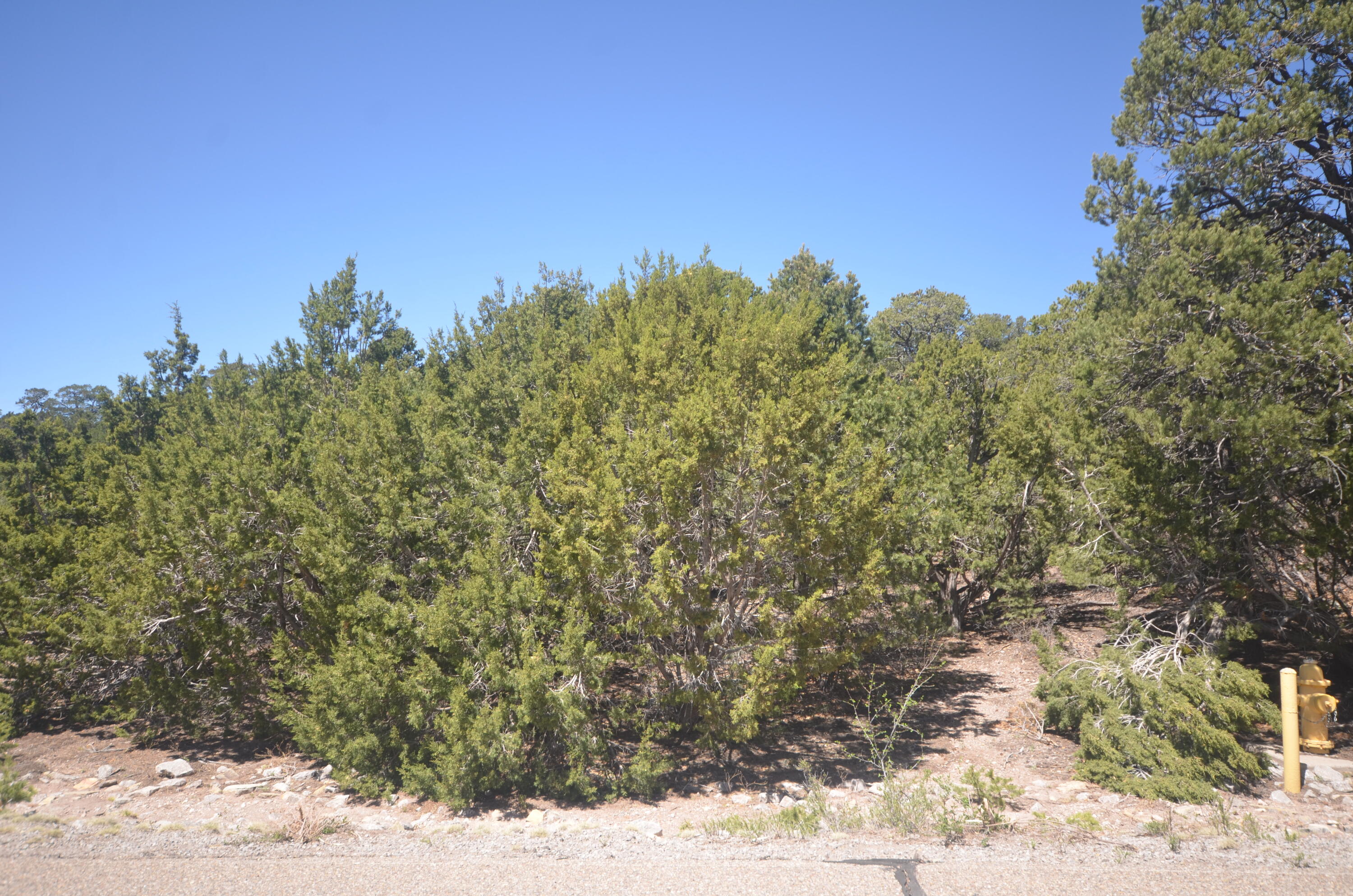 26 Rancho Verde Road, Tijeras, New Mexico image 6