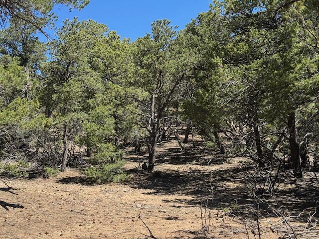26 Rancho Verde Road, Tijeras, New Mexico image 18