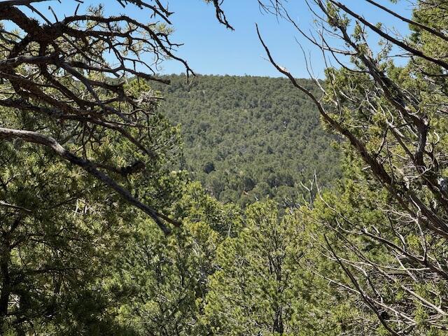 26 Rancho Verde Road, Tijeras, New Mexico image 24