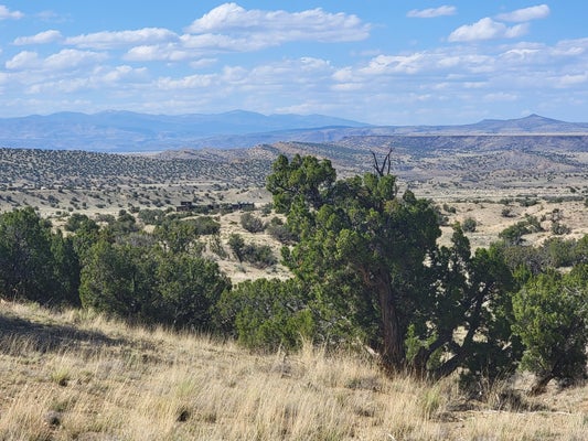40 VIA SOL ESTRELLA, CERRILLOS, NM 87010 - Image d5cbb523100a4b1f40678c852a15bbcf/1637060606