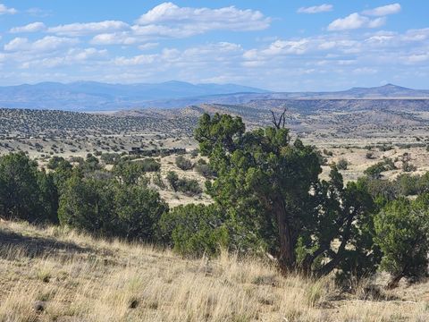 Vacant Land For Sale - 40 Via Sol Estrella<br/> Madrid, NM 87010
