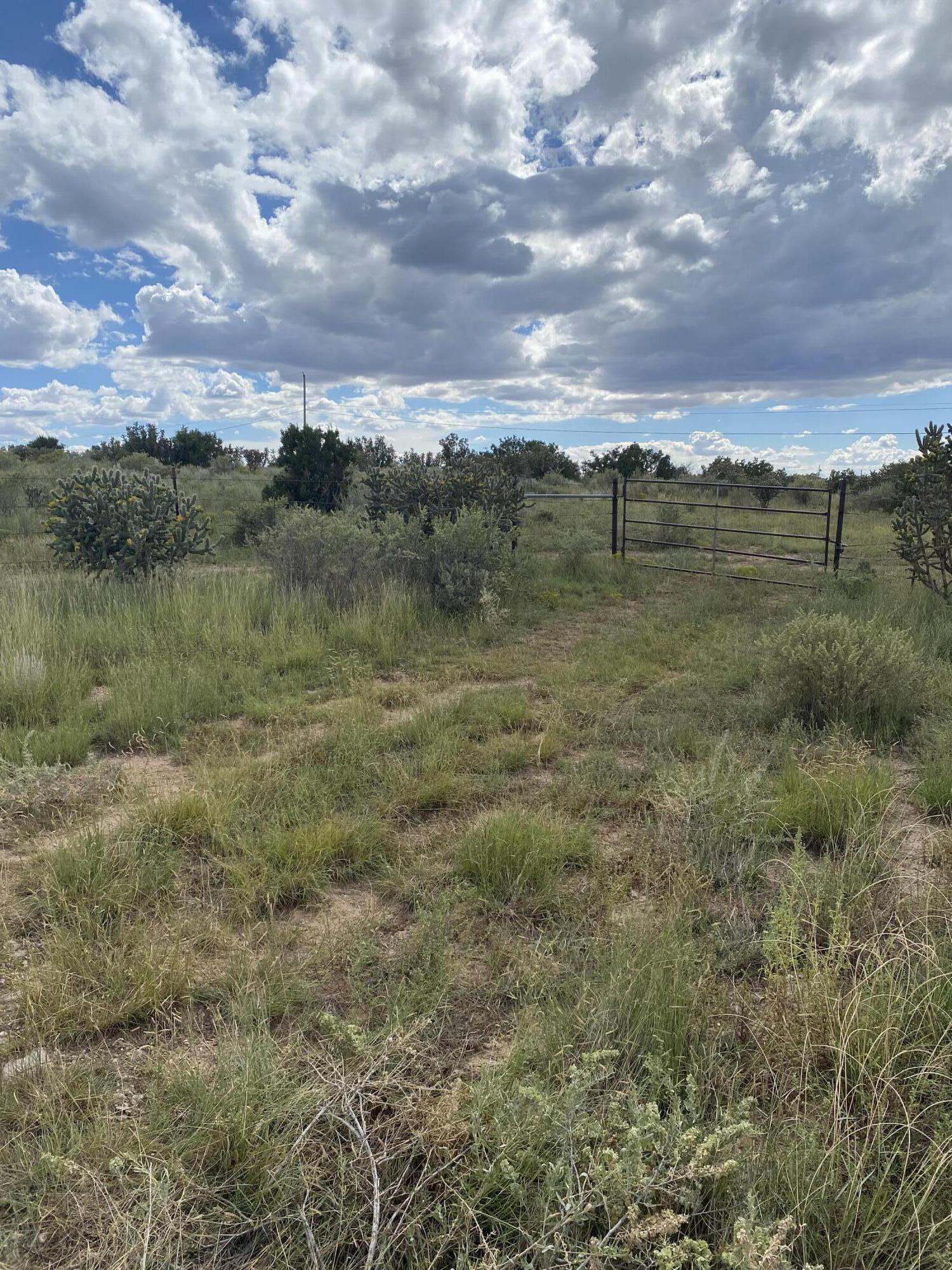 Kubena Lots, Mountainair, New Mexico image 2