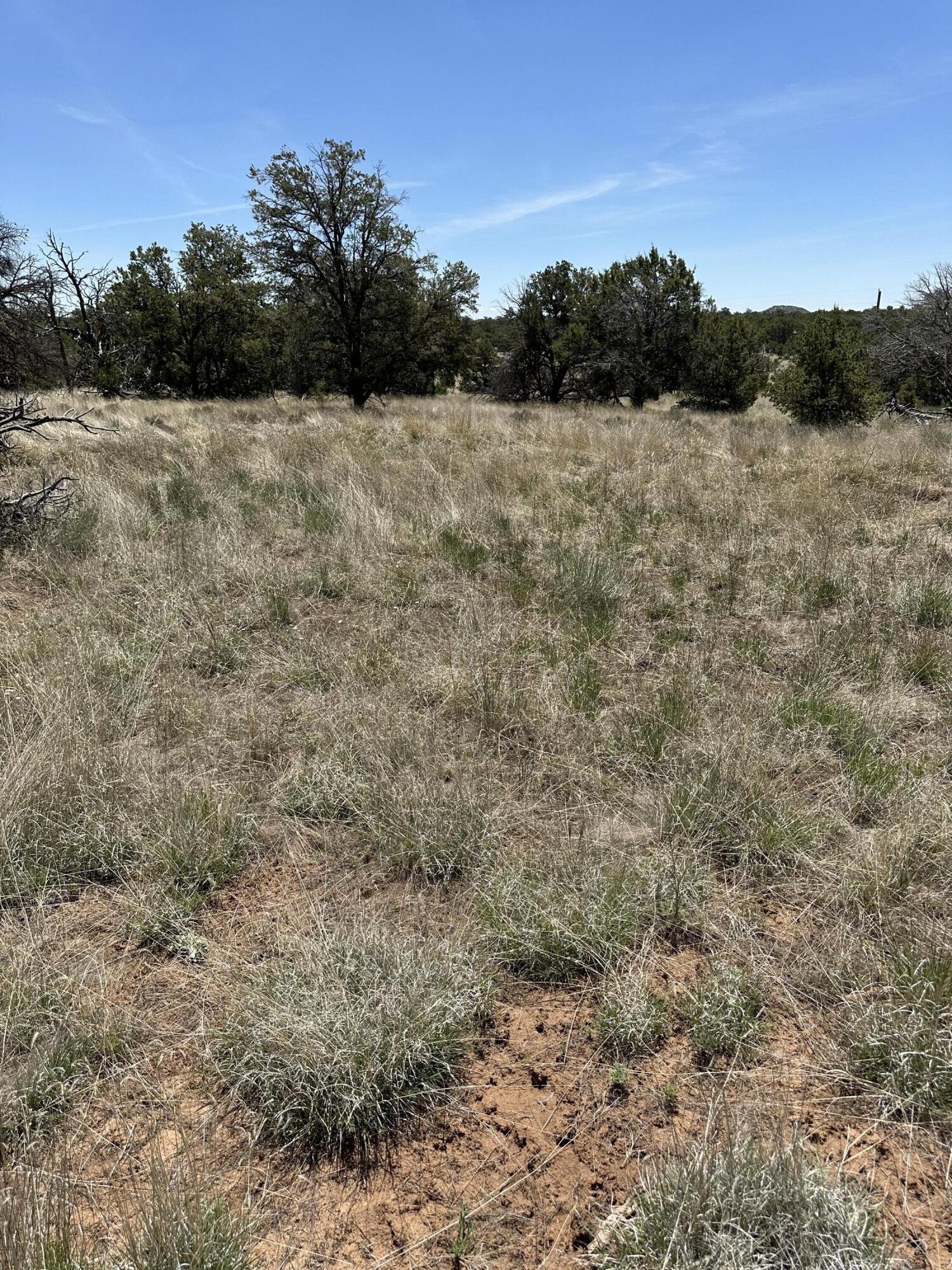 2 Rabbit Circle, Pie Town, New Mexico image 2