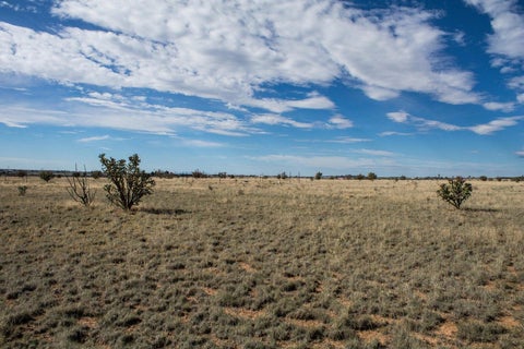 Vacant Land For Sale - 30 Camino De Fe<br/> Moriarty, NM 87035